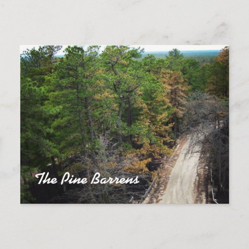 The Pine Barrens Postcard