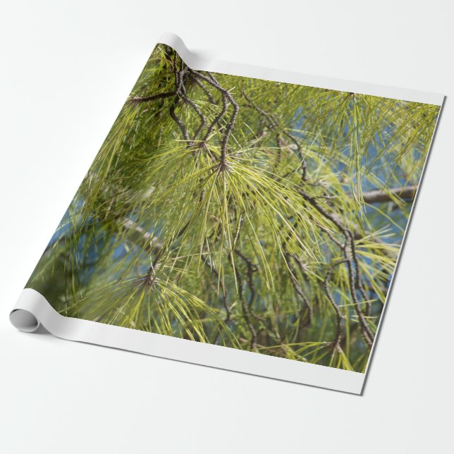 The Pine Bow Wrapping Paper (Unrolled)