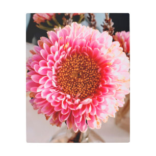 The pink flower metal print