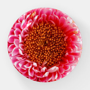 The pink flower paperweight