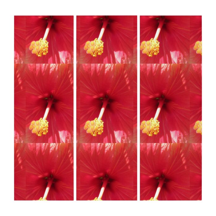 The Pink Hibiscus Triptych