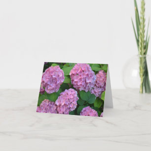 The pink Hortensia hydrangea bush Card