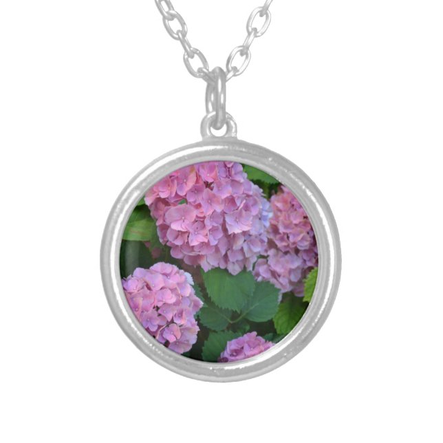 The pink Hortensia hydrangea bush flowering  Silver Plated Necklace (Front)