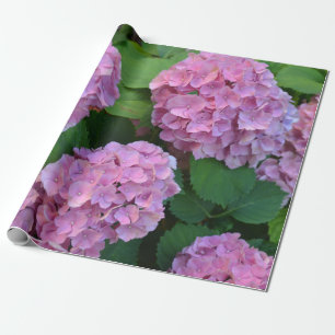 The pink Hortensia hydrangea bush Wrapping Paper