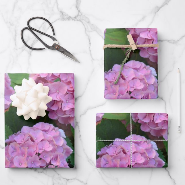 The pink Hortensia hydrangea bush   Wrapping Paper Sheets (Front)