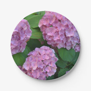 The pink Hortensia hydrangea Paper Plates
