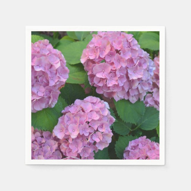 The pink Hortensia hydrangea Party  Napkins (Front)