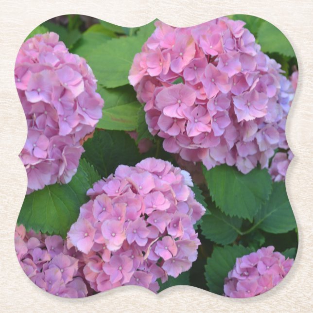 The pink Hortensia hydrangea Party  Paper Coaster (Front)
