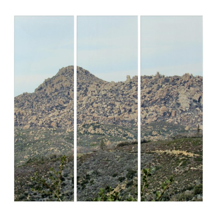 The Pinnacles In The San Bernardino Mountains Triptych