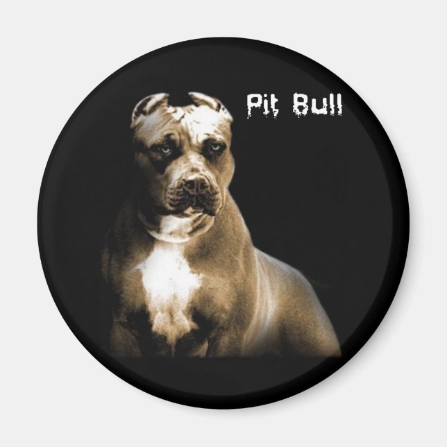 The PITbull Magnet (Front)