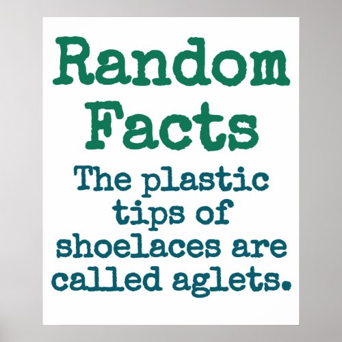 The Plastic Tips Of Shoelaces Are Called Aglets _  Poster