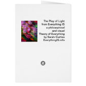 The Play of Light Cards (Back)