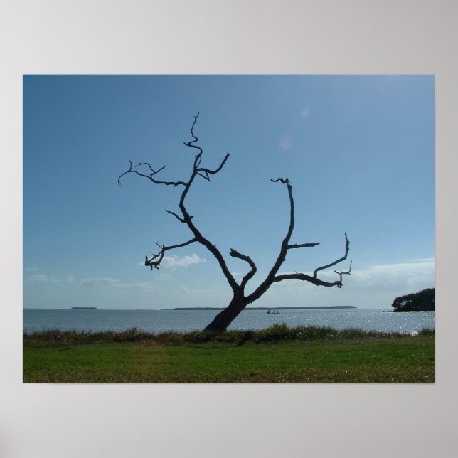 The Poet Tree Poster (Front)