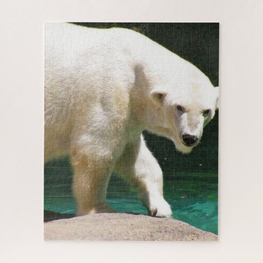THE POLAR BEAR puzzle | Zazzle.com