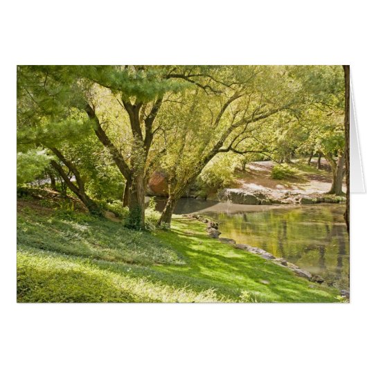 The Pond - Central Park NYC Cards (Front Horizontal)