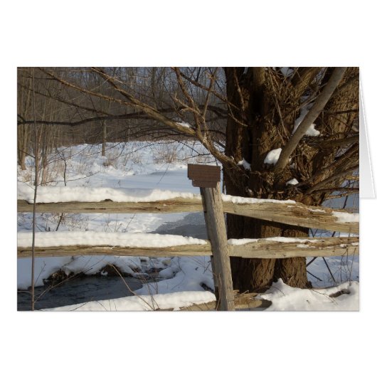 The Pond in Winter Cards (Front Horizontal)