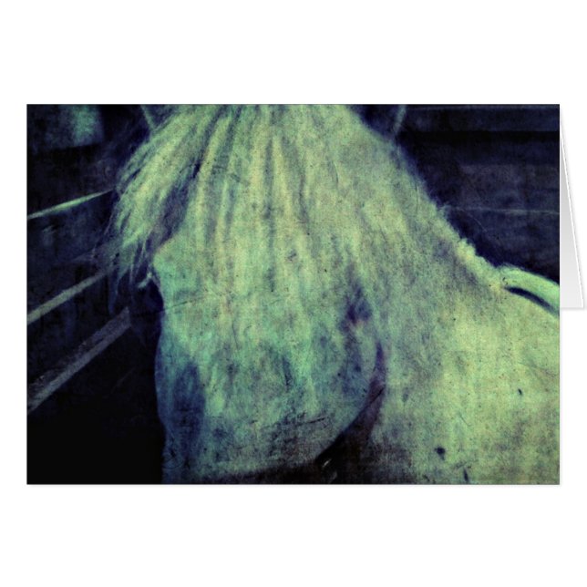 The Pony Cards (Front Horizontal)