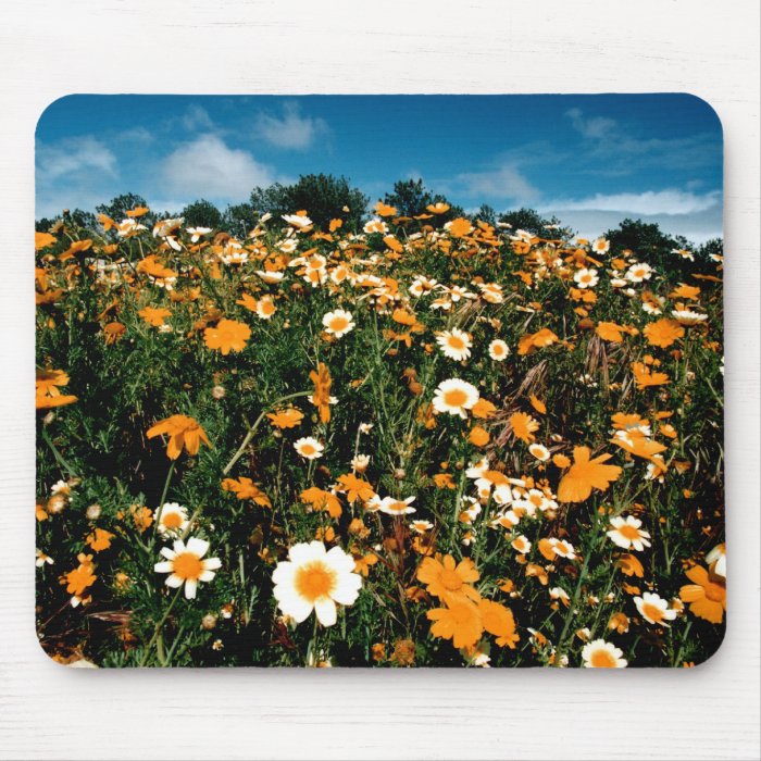 The Poppy Festival flowers, Lancaster CA mousepad