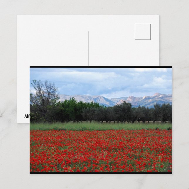 The Poppy Field Postcard (Front/Back)