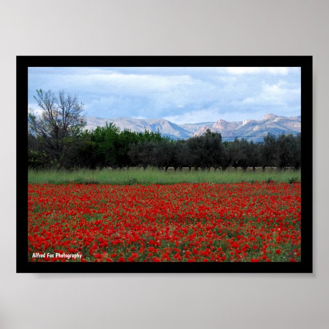 The Poppy Field Poster (Front)