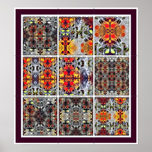 The Poppy Garden Poster (Front)