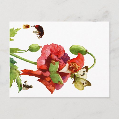 The Poppy Gnome Postcard