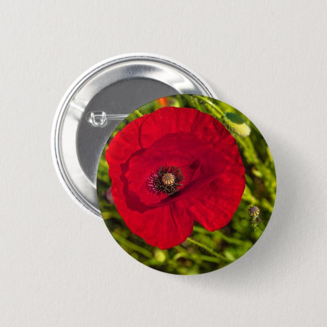 The poppy series #2 button (Front & Back)