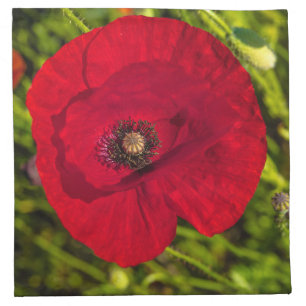 The poppy series #2 cloth napkin