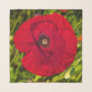 The poppy series #2 scarf