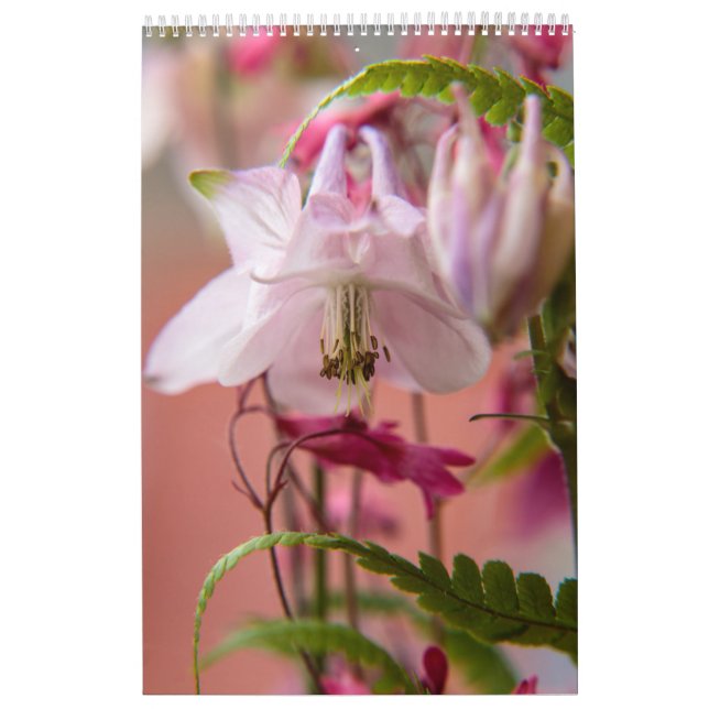 The Power of Flower Calendar (Cover)