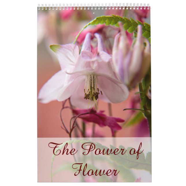 The Power of Flower Calendar (Cover)