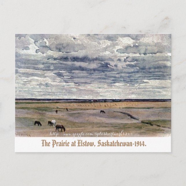 "The Prairie at Elstow, Saskatchewan-1914" Postcard (Front)