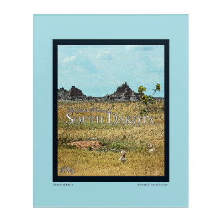 The Prairie Lands of South Dakota Acrylic Print
