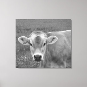 The Pretty Jersey Cow Portrait Canvas Print