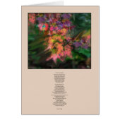 The Prevfaricating Day Card (Front)