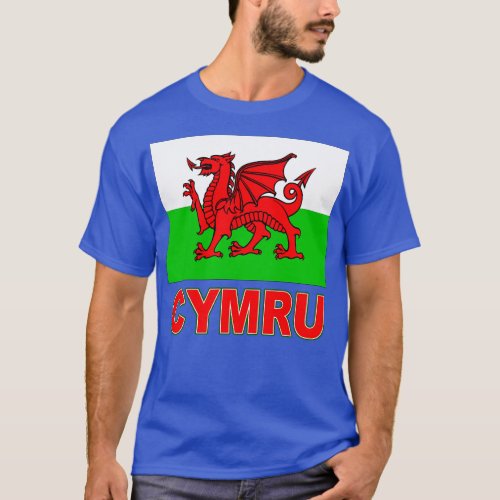 The Pride of Wales Welsh Flag and Language T_Shirt