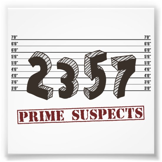The Prime Number Suspects Photo Print