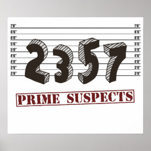 The Prime Number Suspects Poster
