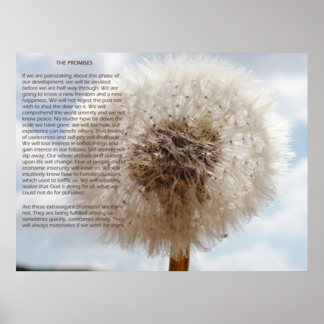 The Promises Poster (Front)