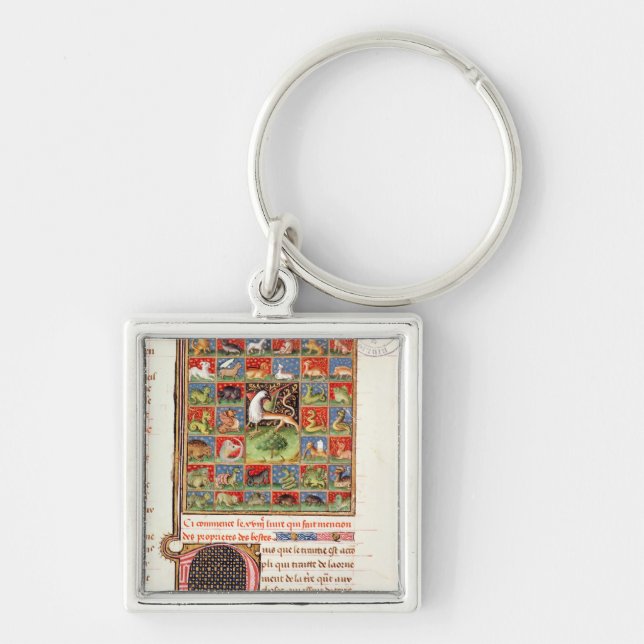 The Properties of Animals Keychain (Front)