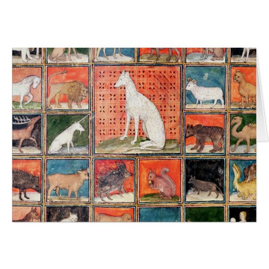 The Properties of Beasts: The Mammals Cards (Front Horizontal)