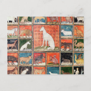 The Properties of Beasts: The Mammals Postcard