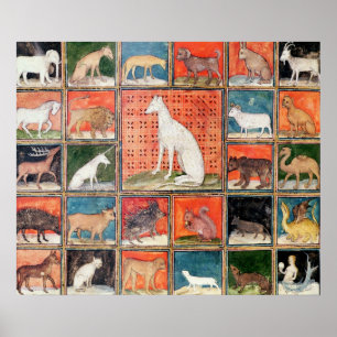 The Properties of Beasts: The Mammals Poster