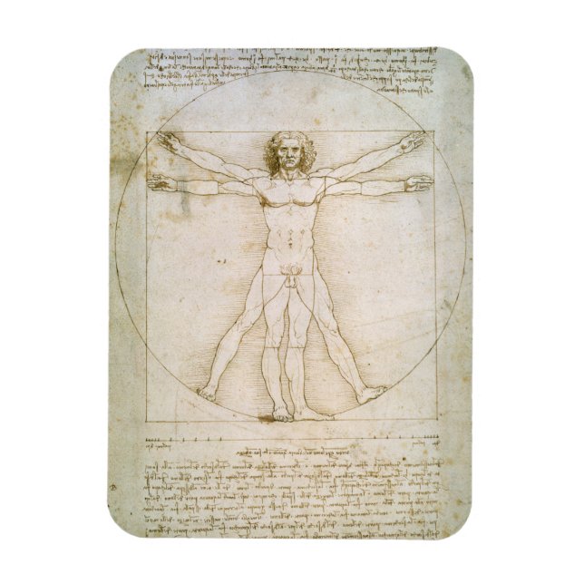 The Proportions of the human figure Magnet (Vertical)