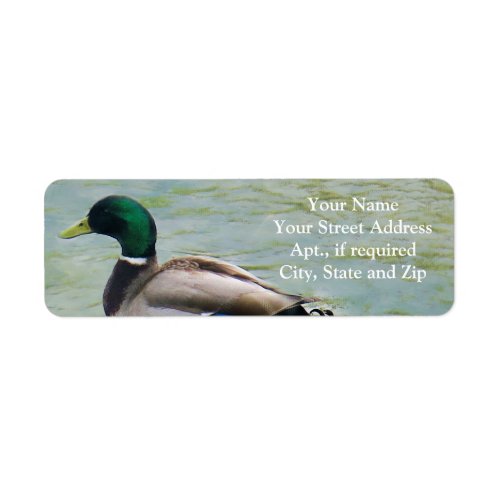 The Proud Mallard Duck as Return Address Labels