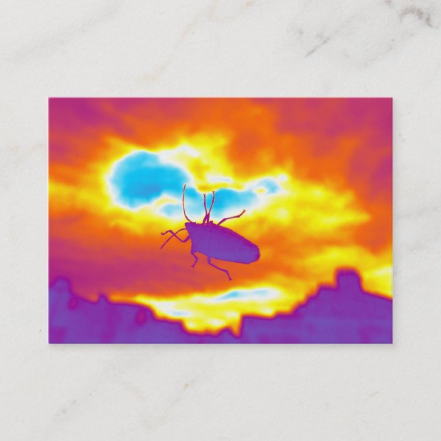 The Psychedelic Bug Business Card (Front)