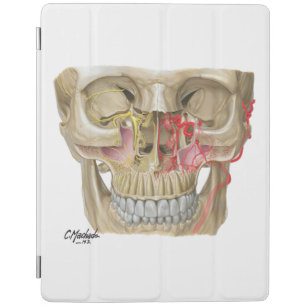 The Pterygopalatine Fossa iPad Smart Cover