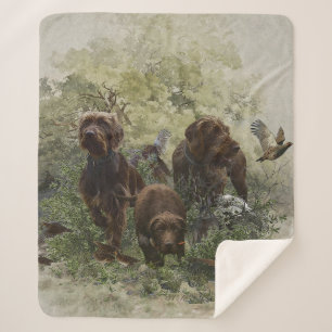 The Pudelpointer Sherpa Blanket