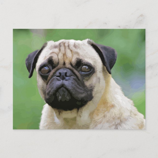 The Pug Dog Postcard (Front)