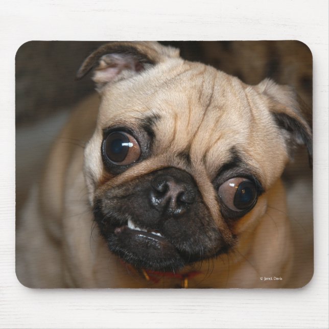 The Pug Mouse Pad (Front)